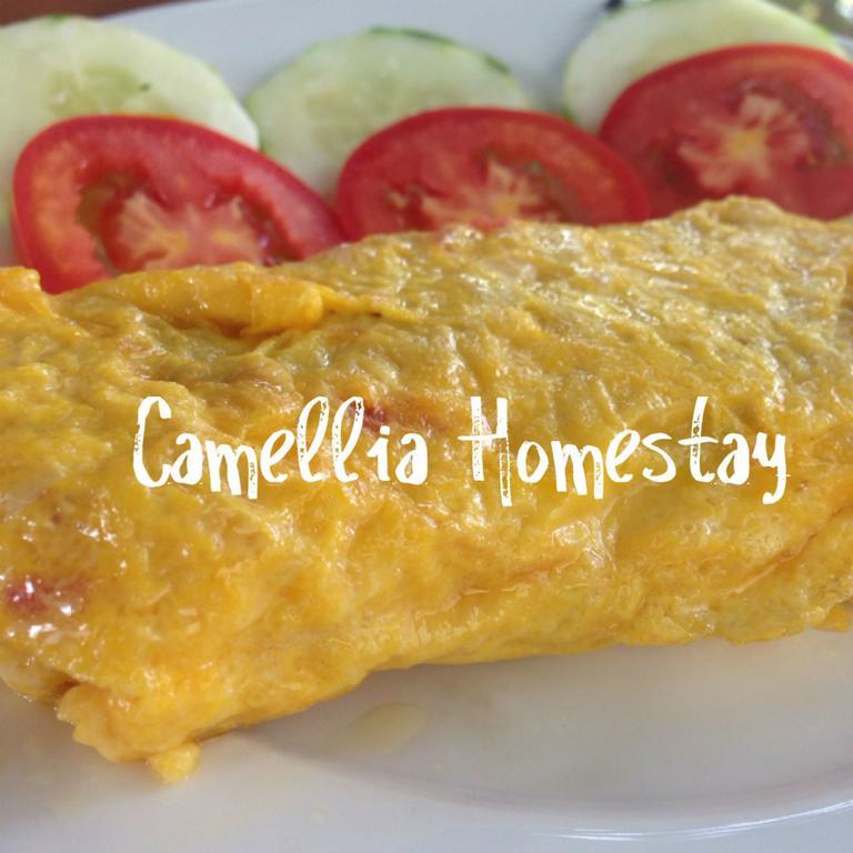 Camellia Homestay هوي ان المظهر الخارجي الصورة